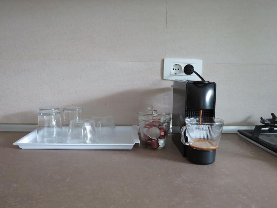 Amazing Apartament With Garden Bucharest Airport Self Check-In!! Otopeni Dış mekan fotoğraf