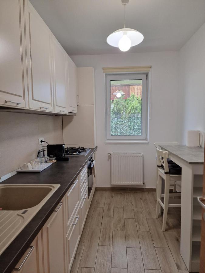 Amazing Apartament With Garden Bucharest Airport Self Check-In!! Otopeni Dış mekan fotoğraf