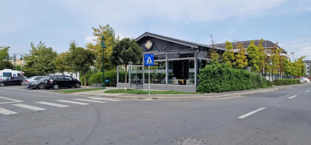 Amazing Apartament With Garden Bucharest Airport Self Check-In!! Otopeni Dış mekan fotoğraf