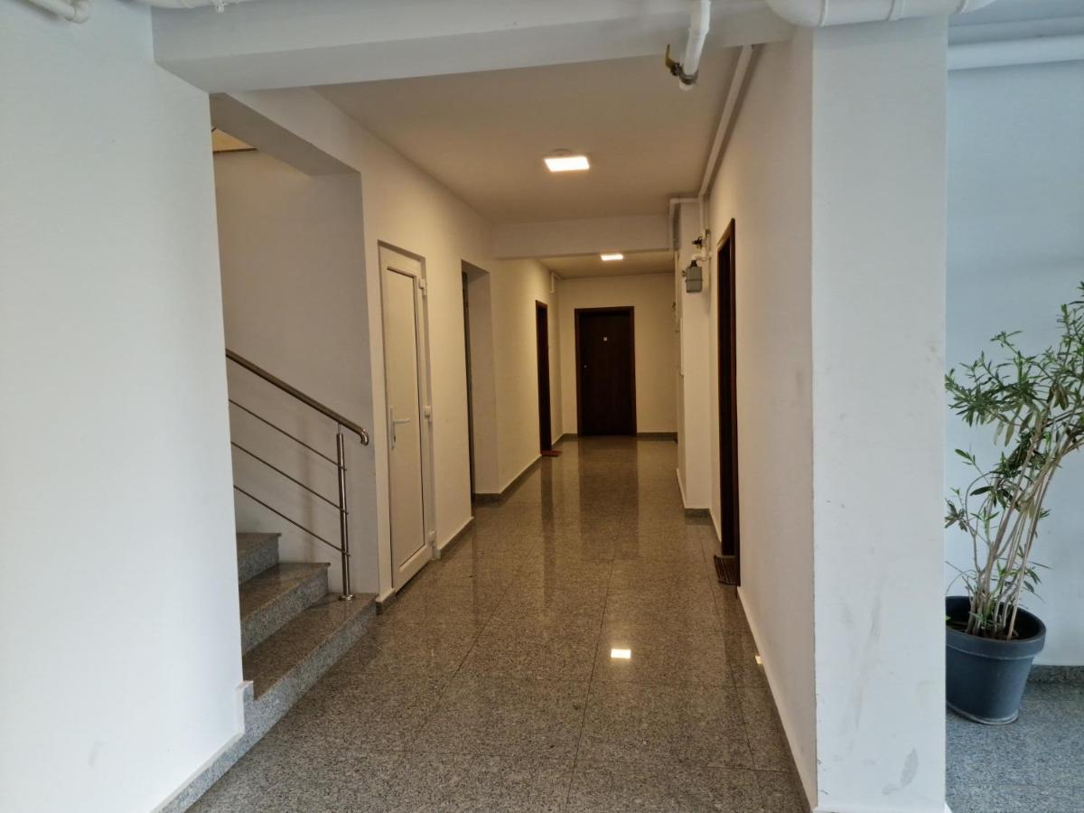 Amazing Apartament With Garden Bucharest Airport Self Check-In!! Otopeni Dış mekan fotoğraf