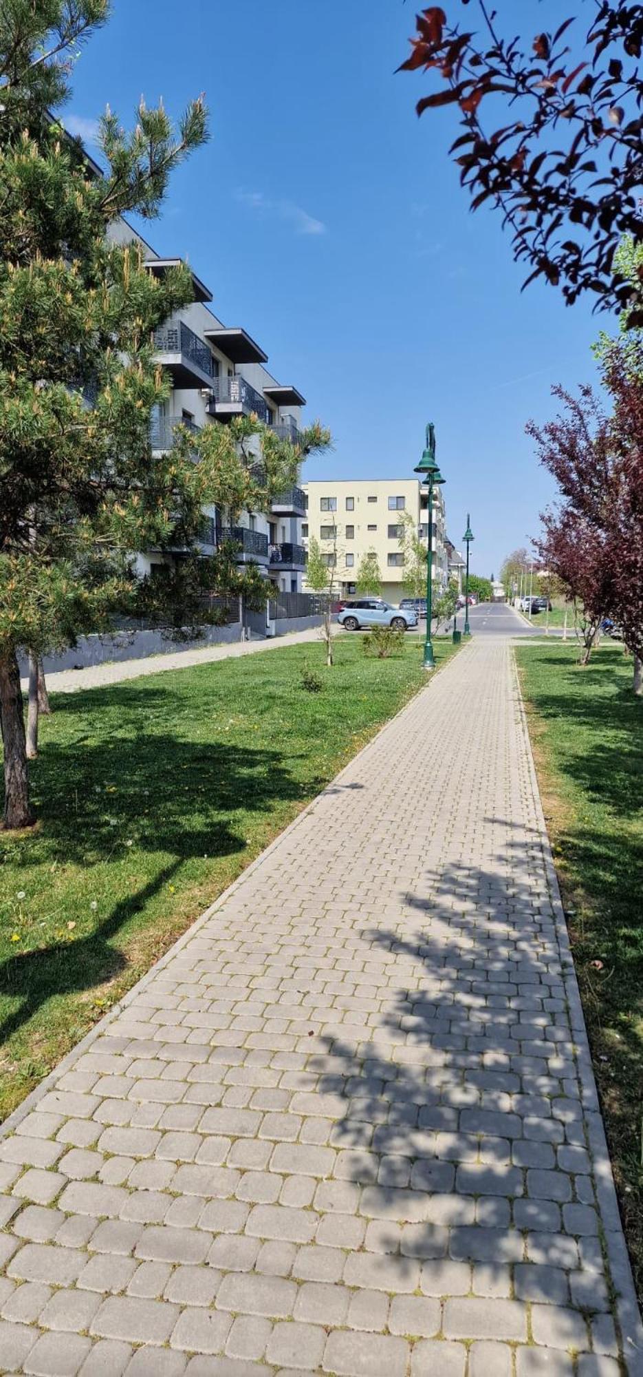 Amazing Apartament With Garden Bucharest Airport Self Check-In!! Otopeni Dış mekan fotoğraf